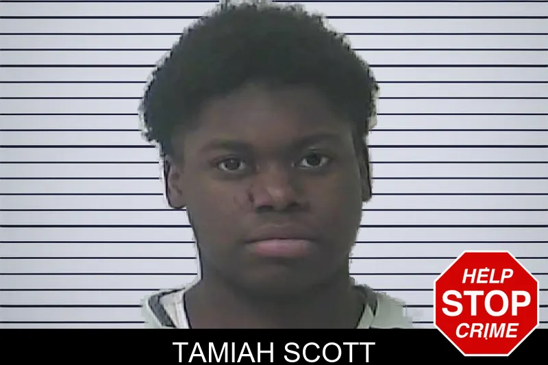 Tamiah Scott mugshot