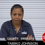 Tamiko Johnson mugshot