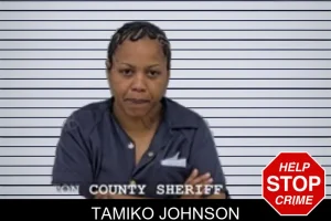 Tamiko Johnson mugshot