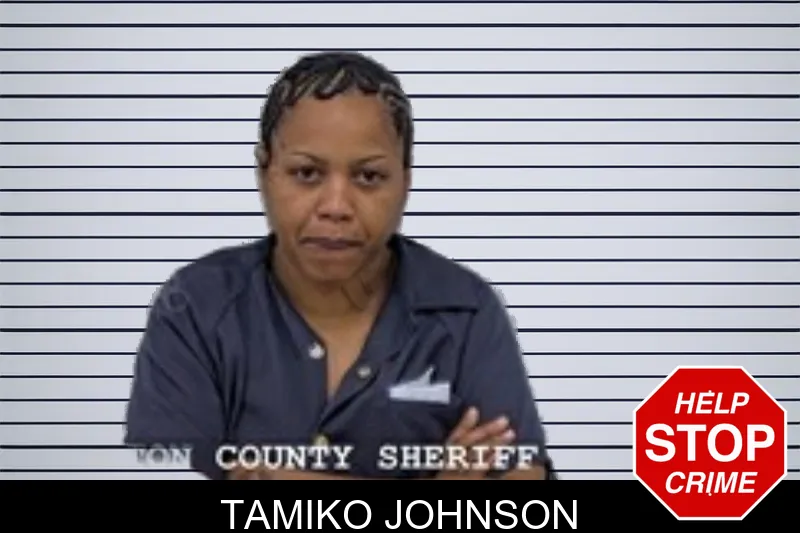 Tamiko Johnson mugshot