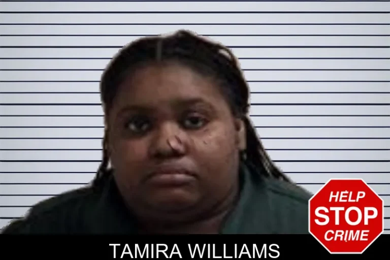 Tamira Williams mugshot – Henry County , Georgia Tamira Williams