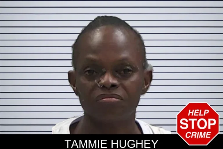 Tammie Hughey mugshot – Baldwin County , Georgia Tammie Hughey