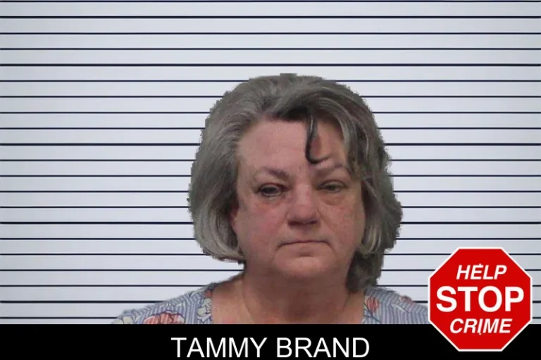 Tammy Brand mugshot – White County , Georgia Tammy Brand
