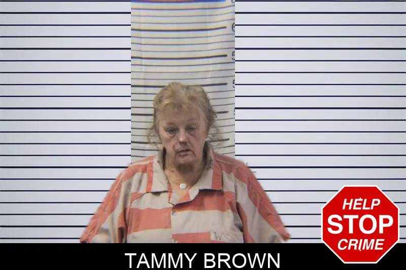Tammy Brown mugshot – Stephens County , Georgia Tammy Brown mugshot