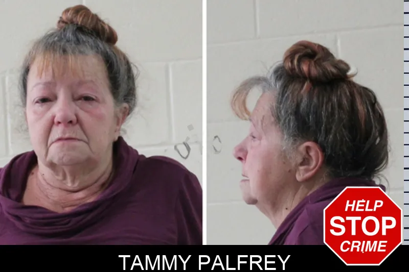 Tammy Palfrey mugshot