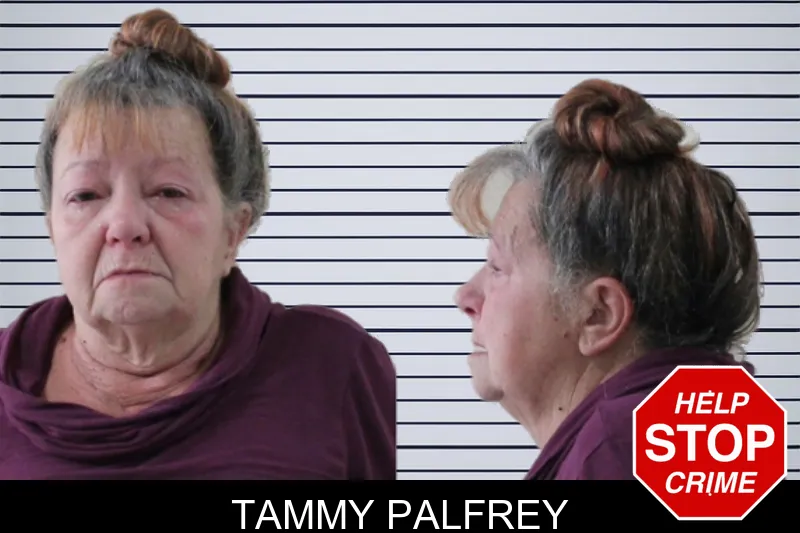 Tammy Palfrey mugshot