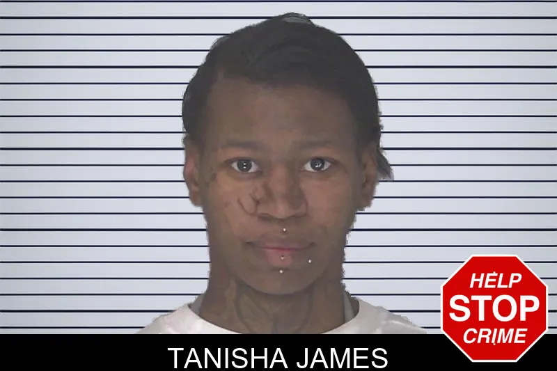 Tanisha James mugshot