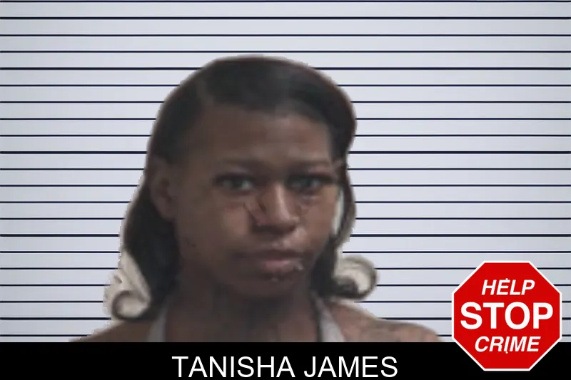 Tanisha James mugshot