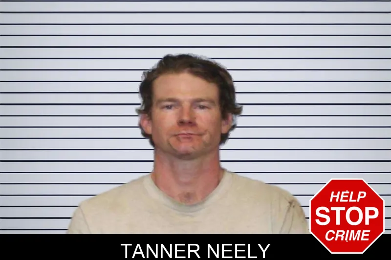 Tanner Neely mugshot – White County , Georgia Tanner Neely mugshot