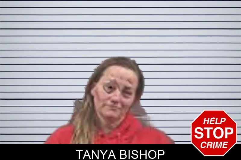 Tanya Bishop mugshot – Banks County , Georgia Tanya Bishop mugshot
