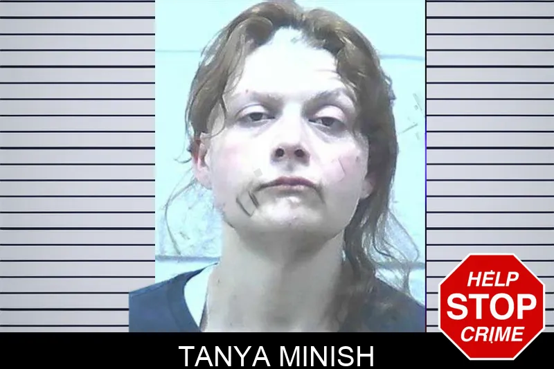 Tanya Minish mugshot – Jackson County , Georgia Tanya Minish mugshot
