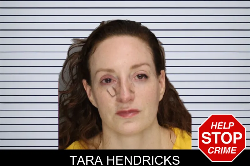 Tara Hendricks mugshot