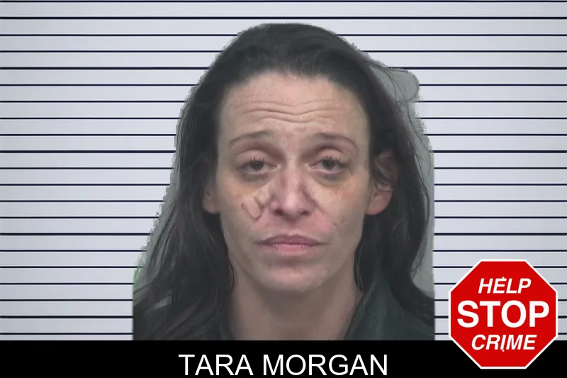 Tara Morgan mugshot
