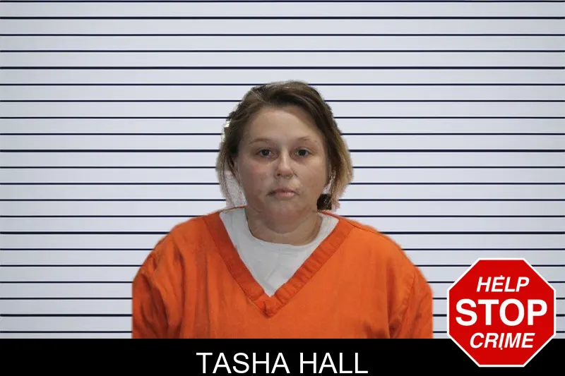 Tasha Hall mugshot – Murray County , Georgia Tasha Hall mugshot