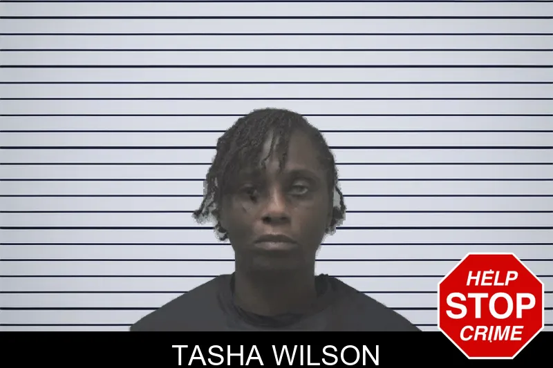 Tasha Wilson mugshot