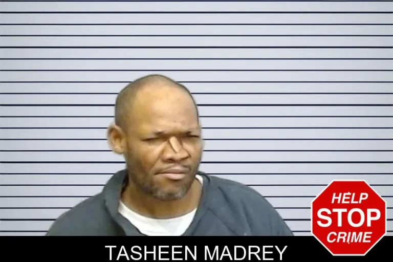Tasheen Madrey mugshot – Fulton County , Georgia Tasheen Madrey