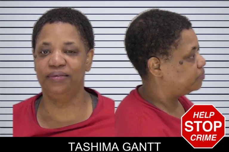 Tashima Gantt mugshot – Bulloch County , Georgia Tashima Gantt