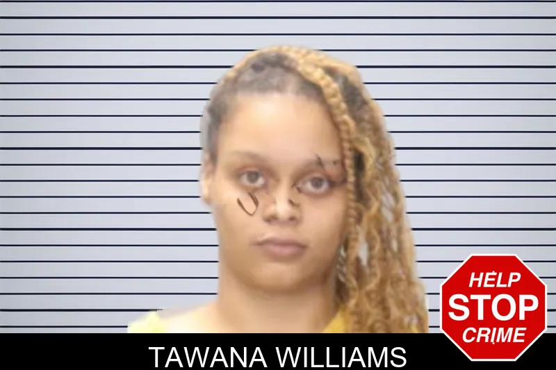 Tawana Williams mugshot