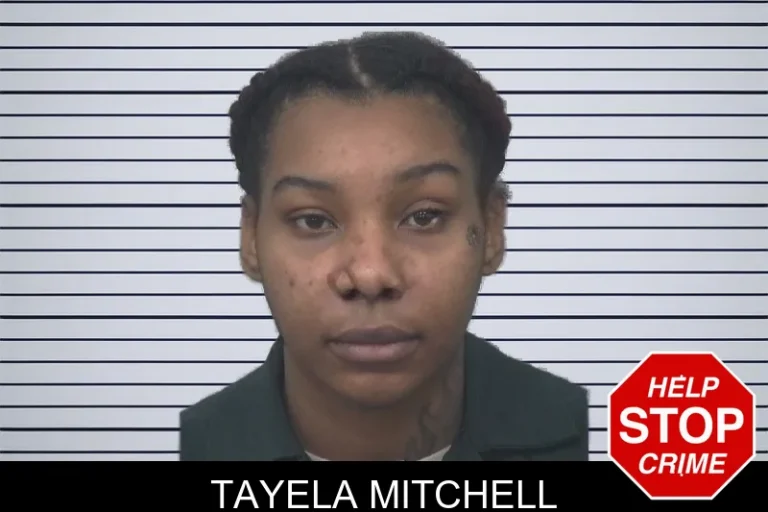 Tayela Mitchell mugshot – Gwinnett County , Georgia Tayela Mitchell