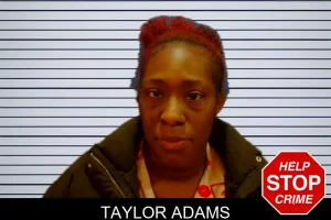 Taylor Adams mugshot