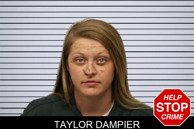 Taylor Dampier mugshot