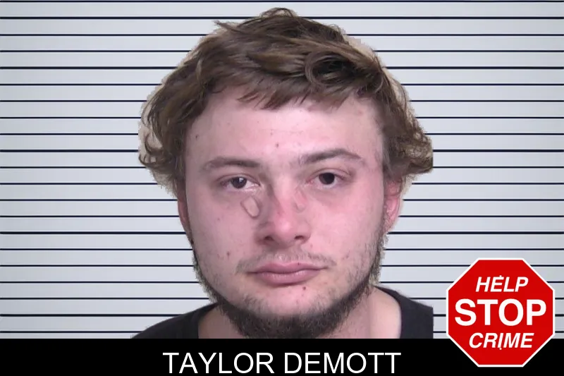 Taylor Demott mugshot