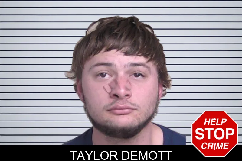 Taylor Demott mugshot