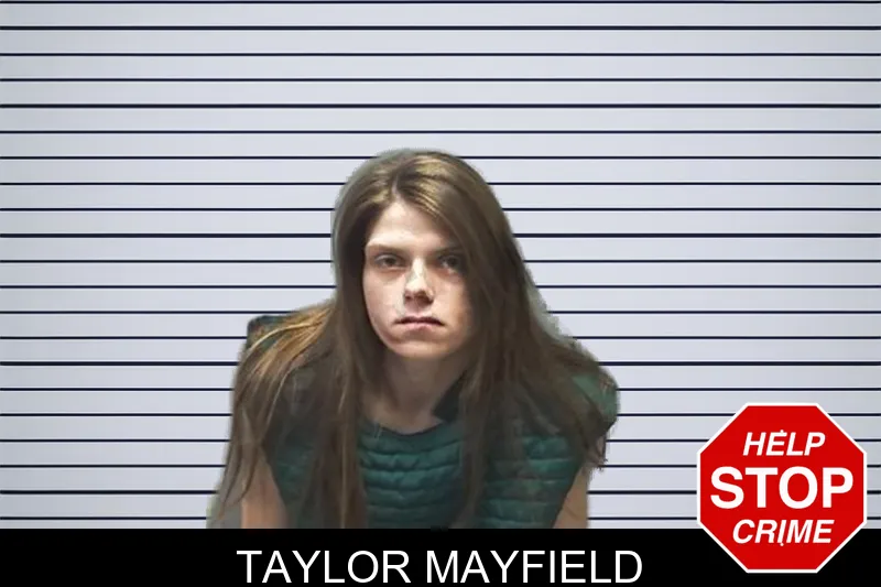 Taylor Mayfield mugshot