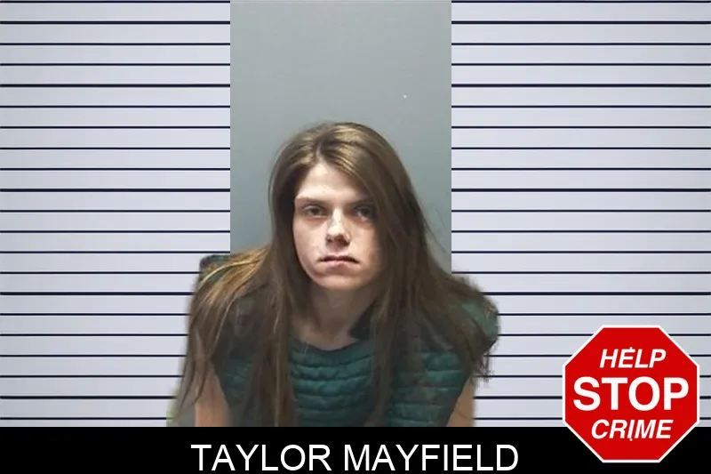 Taylor Mayfield mugshot