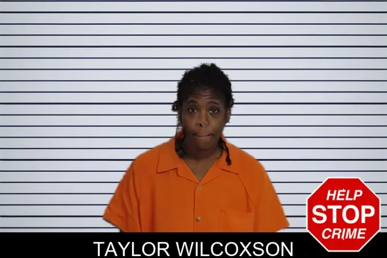 Taylor Wilcoxson