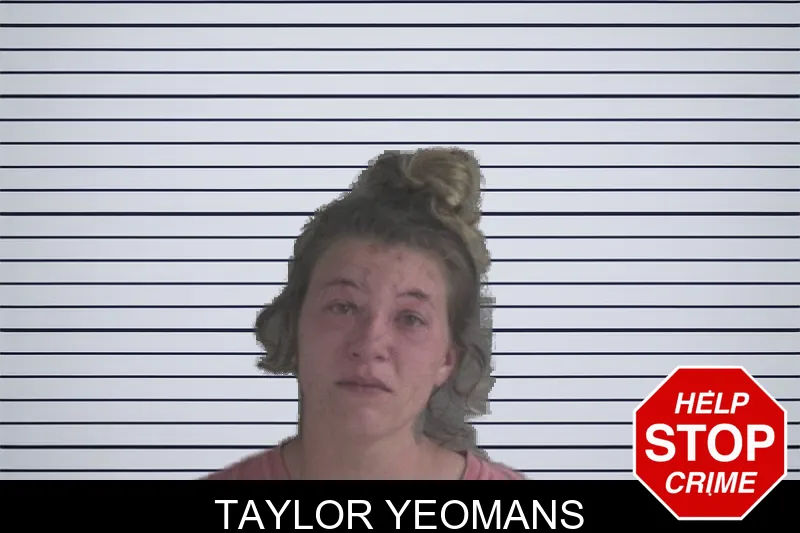 Taylor Yeomans mugshot – Brantley County , Georgia Taylor Yeomans mugshot