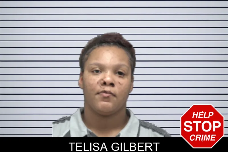 Telisa Gilbert mugshot – Dougherty County , Georgia Telisa Gilbert mugshot