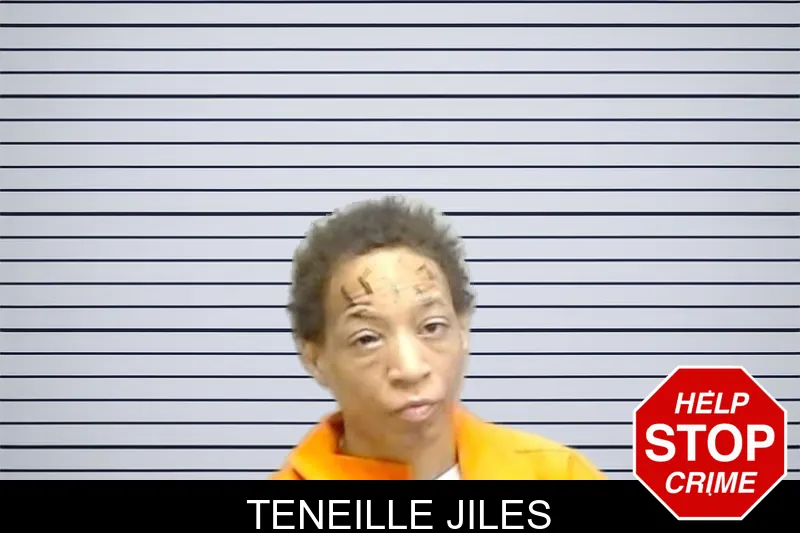 Teneille Jiles mugshot – Fulton County , Georgia Teneille Jiles mugshot