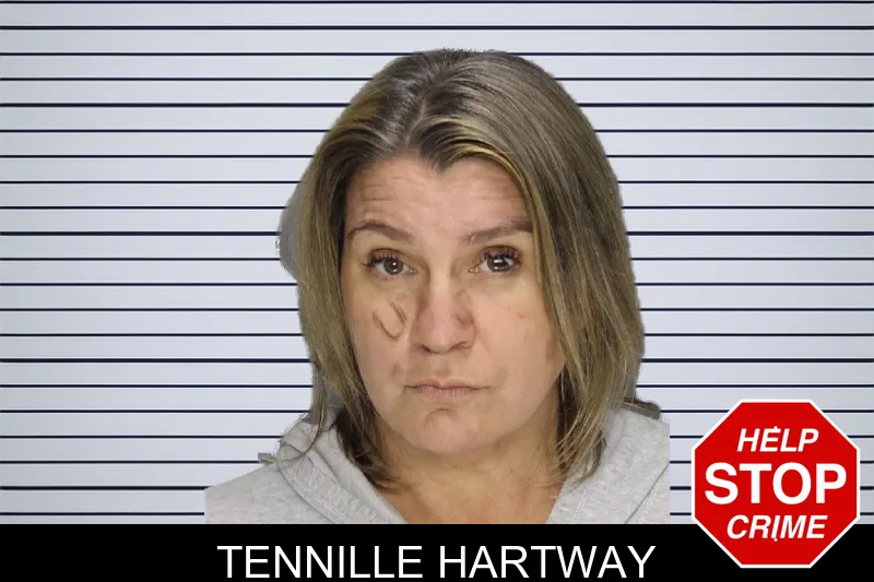 Tennille Hartway mugshot – Cobb County , Georgia Tennille Hartway mugshot