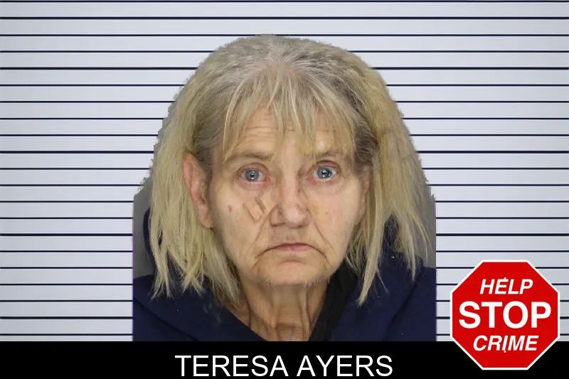 Teresa Ayers mugshot – Cobb County , Georgia Teresa Ayers mugshot