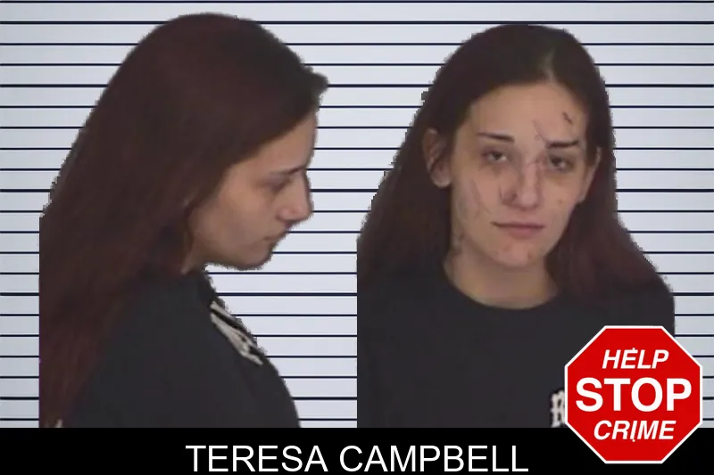 Teresa Campbell mugshot