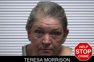 Teresa Morrison mugshot