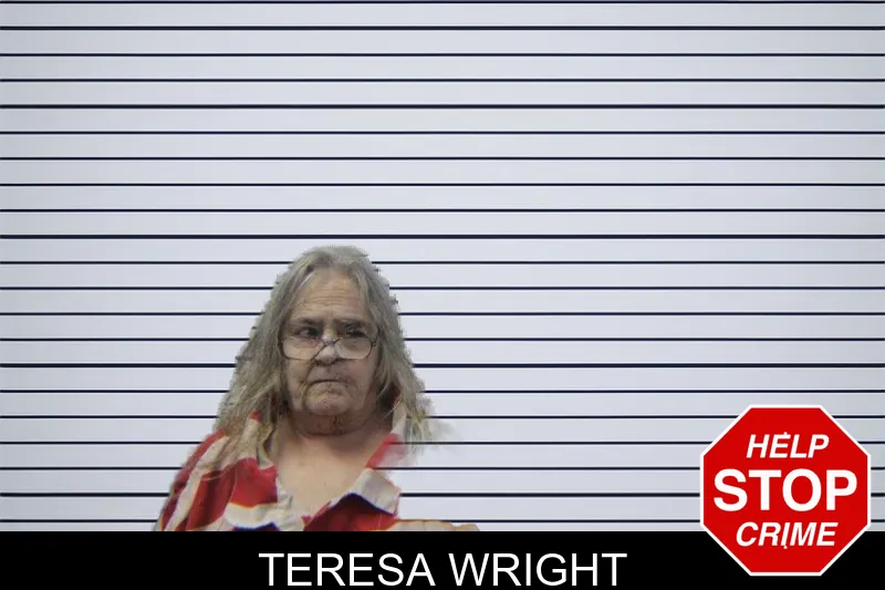 Teresa Wright mugshot – Stephens County , Georgia Teresa Wright mugshot