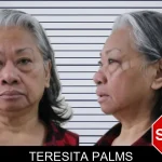 Teresita Palms mugshot