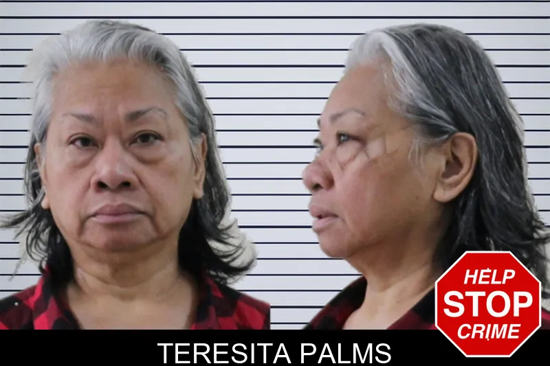 Teresita Palms mugshot