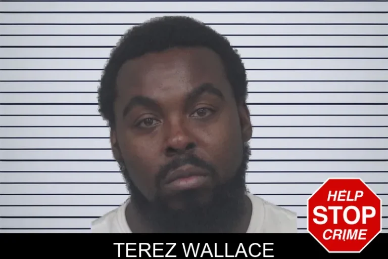 Terez Wallace mugshot – Gwinnett County , Georgia Terez Wallace