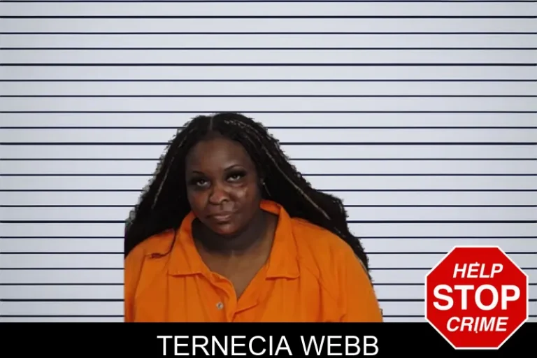 Ternecia Webb mugshot – Rockdale County , Georgia Ternecia Webb