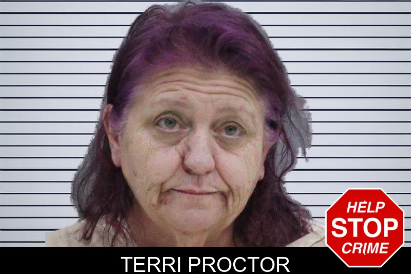 Terri Proctor mugshot