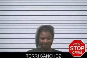 Terri Sanchez mugshot
