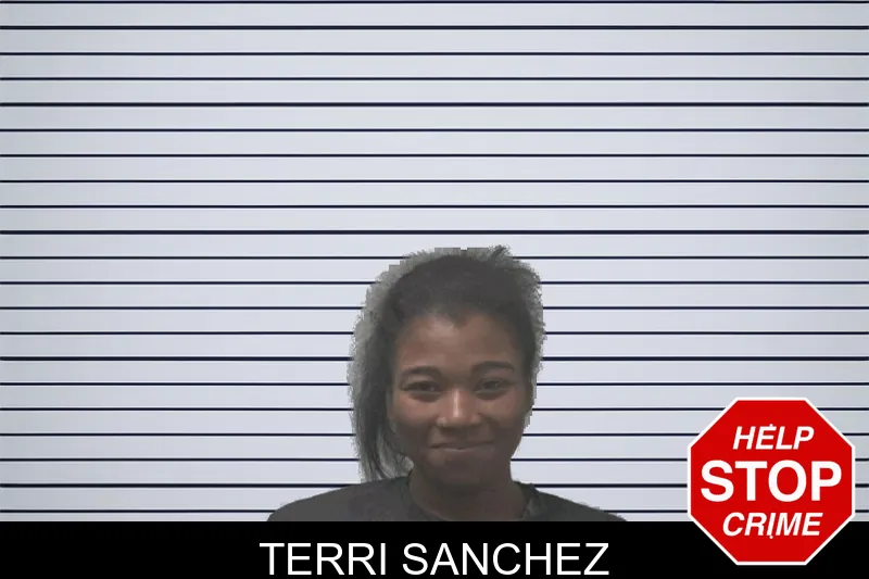 Terri Sanchez mugshot