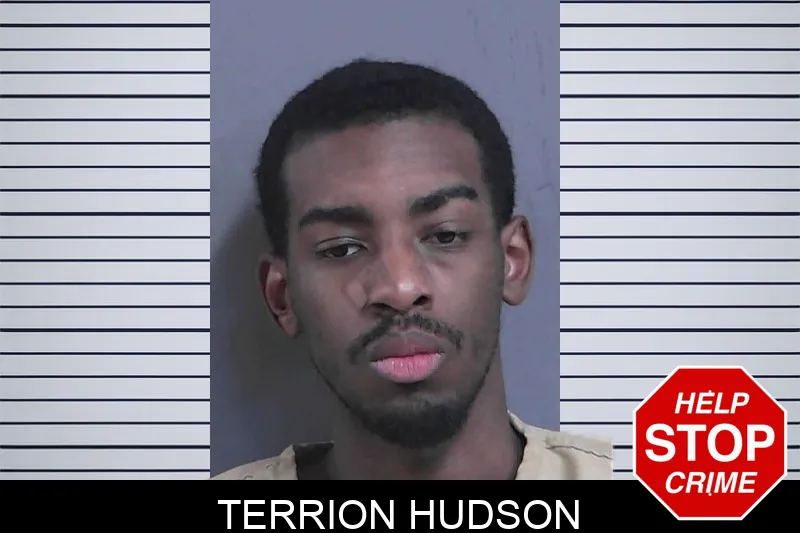 Terrion Hudson mugshot