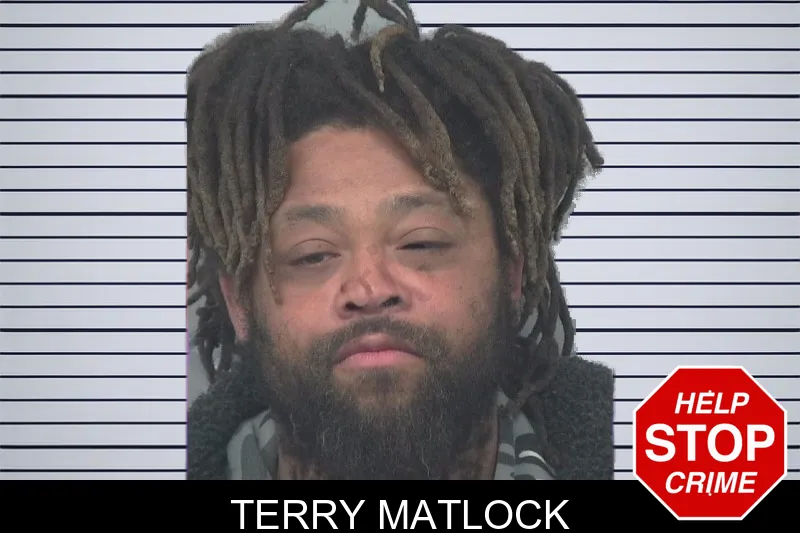 Terry Matlock mugshot – Gwinnett County , Georgia Terry Matlock mugshot