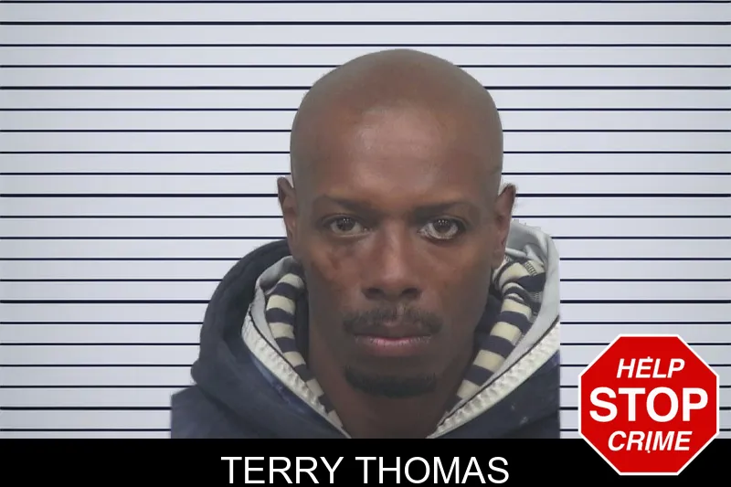 Terry Thomas mugshot – Gwinnett County , Georgia Terry Thomas mugshot