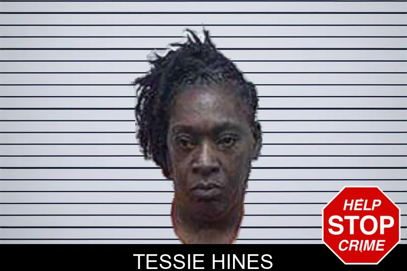 Tessie Hines mugshot