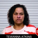 Tewanna Atkins mugshot